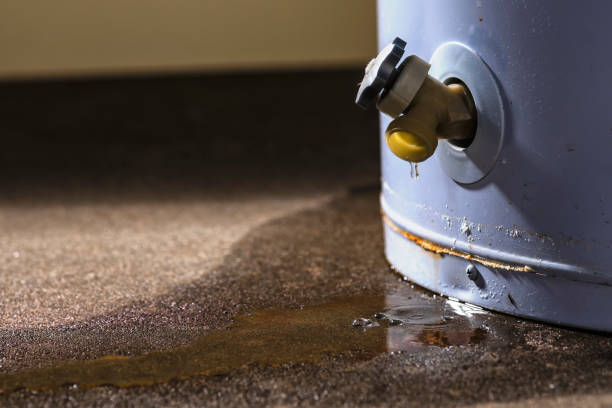 Best Flood damage cleanup  in Montrose Ghent, OH