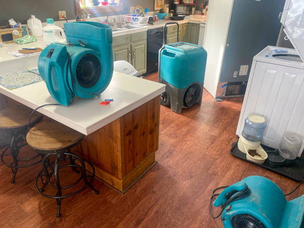 Best 24-hour water damage restoration  in Montrose Ghent, OH
