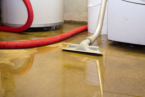 Best Residential water damage restoration  in Montrose Ghent, OH