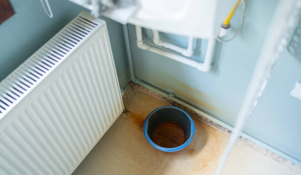 Best Mold removal after water damage  in Montrose Ghent, OH
